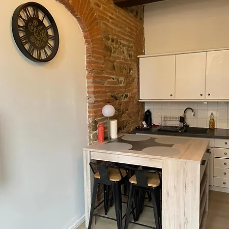 Daire T2 Cosy Avec Vue Pont Des Catalans-saint Cyprien