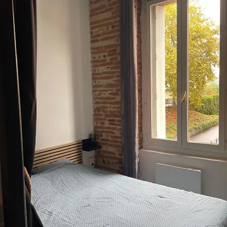 T2 Cosy Avec Vue Pont Des Catalans-saint Cyprien * Toulouse