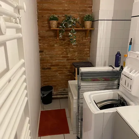 T2 Cosy Avec Vue Pont Des Catalans-saint Cyprien Daire *