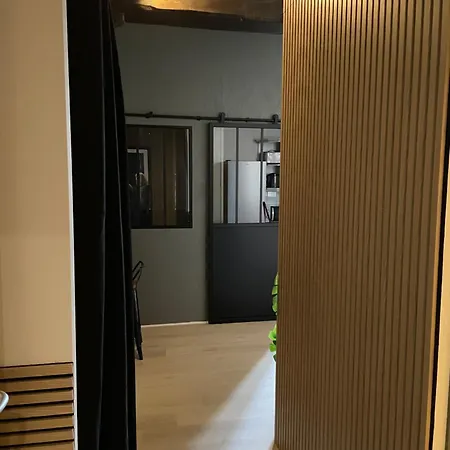 Lägenhet T2 Cosy Avec Vue Pont Des Catalans-saint Cyprien Toulouse