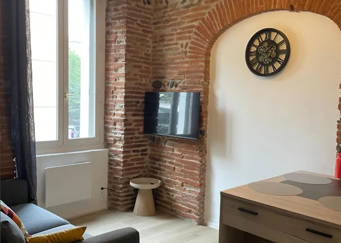 Appartamento T2 Cosy Avec Vue Pont Des Catalans-saint Cyprien *