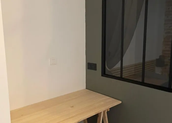 Appartamento T2 Cosy Avec Vue Pont Des Catalans-saint Cyprien *