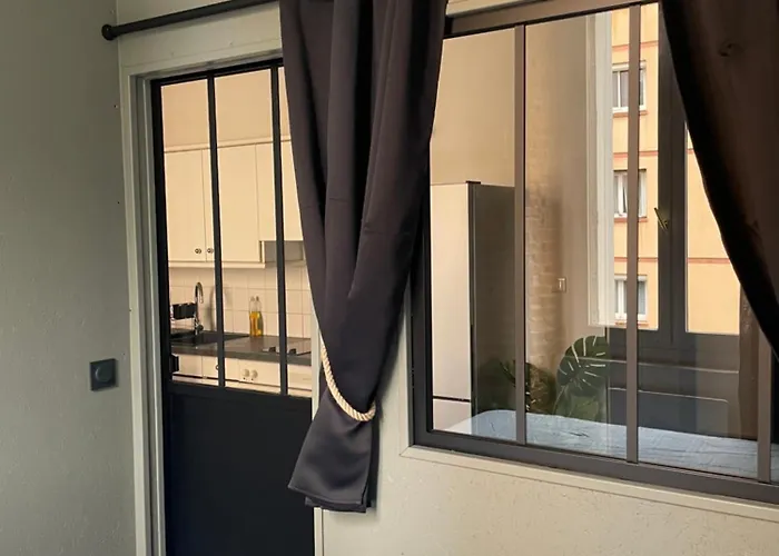 T2 Cosy Avec Vue Pont Des Catalans-saint Cyprien アパート トゥールーズ