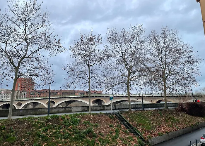 アパート T2 Cosy Avec Vue Pont Des Catalans-saint Cyprien トゥールーズ